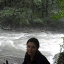   (), , 39  -  28  2010    2010