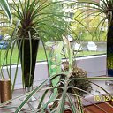 ���� Dimka, ������, 57 ��� - ��������� 11 ����� 2012 � ������ �TIERE�