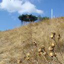 ���� �������, ��������� - ��������� 6 ������� 2012 � ������ �����ܻ