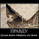  , , 51  -  17  2010   *** ***