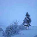 ���� ���������, ���������� - ��������� 10 ������ 2010 � ������ �*** ������� ***�