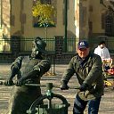 ���� �����, ����������, 62 ���� - ��������� 8 ��� 2013 � ������ ���� ����������