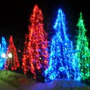 ���� �����, �����, 56 ��� - ��������� 5 ������� 2013 � ������ ���� ����������