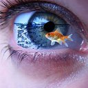 ���� ����, �����-���������, 58 ��� - ��������� 27 ���� 2013