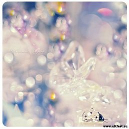 ���� �����, ������� - ��������� 10 ������ 2011