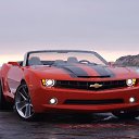 ���� ����, ����, 51 ��� - ��������� 18 ������ 2012 � ������ ���� ����������