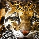 ���� ������, �����������, 86 ��� - ��������� 21 ��� 2012 � ������ �������