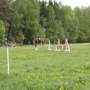  , -, 44  -  30  2011   