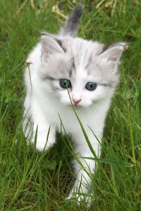 ���� Olga, ������������, 45 ��� - ��������� 1 ����� 2012