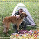 �����������)) �� ������� ���� ����������