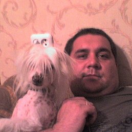 ������, ��������, 47 ���