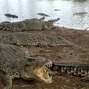 ���� Andrey, �����������, 45 ��� - ��������� 26 ������ 2011 � ������ �������