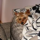 ���� Vladimir, ������, 65 ��� - ��������� 21 �������� 2011 � ������ ���� ����������