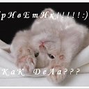 ���� ����*�������, �����-��������� - ��������� 14 ������ 2010 � ������ ���� � ��������