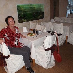 ���� ����, ������, 72 ���� - ��������� 20 �������� 2011