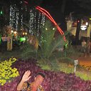 ���� �������, �������� ����, 51 ��� - ��������� 19 �������� 2011 � ������ ���� ����������