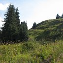 ���� ������, ������, 42 ���� - ��������� 16 ���� 2012 � ������ ���� ����������