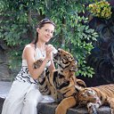 ���� ���, �����������-��-�����, 50 ��� - ��������� 21 ������ 2012 � ������ �������� 2012�