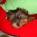 ���� Vladimir, ������, 65 ��� - ��������� 21 �������� 2011 � ������ �������