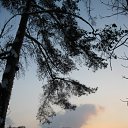 ���� ����, ������, 44 ���� - ��������� 23 ��� 2010 � ������ ��������