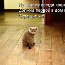 ���� Red, ������� - ��������� 16 ������ 2011 � ������ ���������������� :)�