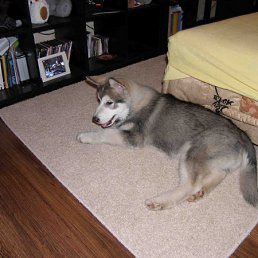 ���� Boris, �����, 38 ��� - ��������� 15 ����� 2009