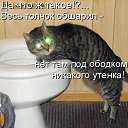 ���� ����, �����, 50 ��� - ��������� 15 ���� 2010 � ������ ������������