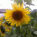 ���� ���� ��, �������, 49 ��� - ��������� 15 ������ 2011 � ������ ���� ���.�