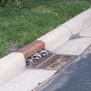 ���� �����-��, ����, 45 ��� - ��������� 20 ������ 2010 � ������ ���� ����� ��, ����� !�