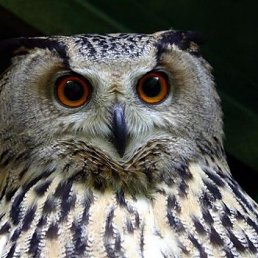 ���� �������, ������� �������� - ��������� 16 ���� 2013