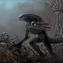  Xenomorph, , 53  -  2  2011   