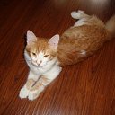 ���� ����, ���������, 24 ���� - ��������� 28 ������ 2012 � ������ ��������)�