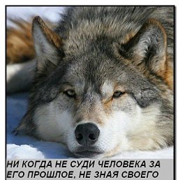 ���� ��� ����� � ��, �����-���������, 59 ��� - ��������� 4 ������� 2010