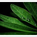 ���� ������, ����� - ��������� 8 ���� 2010 � ������ ����������