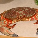 ���� ��������, ���������, 56 ��� - ��������� 8 ���� 2012 � ������ ���� ����������