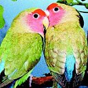 ���� ����, ������, 26 ��� - ��������� 25 ����� 2010 � ������ ���� ����������