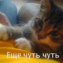 ���� ������, ������, 67 ��� - ��������� 2 ������ 2012 � ������ ���� ����������