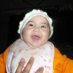 ������, �������, 43 ����