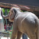 �������-��������� ������� �� ������� ������� ���� �������