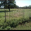 ���� �������, ���������, 35 ��� - ��������� 23 ����� 2010 � ������ ������ ������ �����