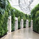 ���� Milda ,Mama, �����������, 42 ���� - ��������� 6 ������� 2012 � ������ �Milda, Mama posetili Longwood gardens�