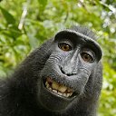 ���� ��� ���, ���������, 50 ��� - ��������� 19 �������� 2011