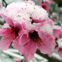  , --, 57  -  18  2013    