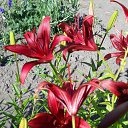 ���� �����, ������ - ��������� 5 ������� 2012 � ������ �������