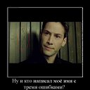 ���� ����, ���������� - ��������� 10 ������ 2010 � ������ ��������������