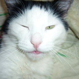 ���� �����, ������, 46 ��� - ��������� 30 ����� 2012