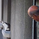 ���� ������, ����, 42 ���� - ��������� 25 ������ 2012 � ������ ���� ����������