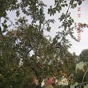 ���� Yna26, �����-���������, 71 ��� - ��������� 14 ��� 2012 � ������ ���� ����������
