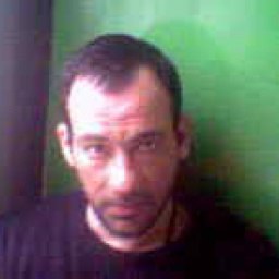 Vaxo, �������, 50 ���