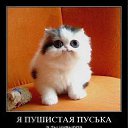 ���� ������, ������, 27 ��� - ��������� 23 �������� 2011 � ������ �������